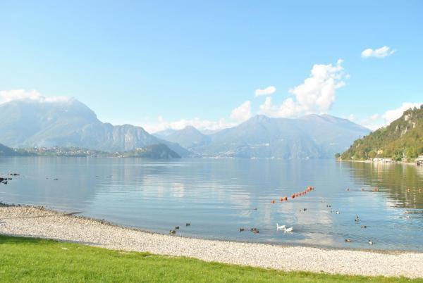 The Garden On The Lake Lierna Extérieur photo